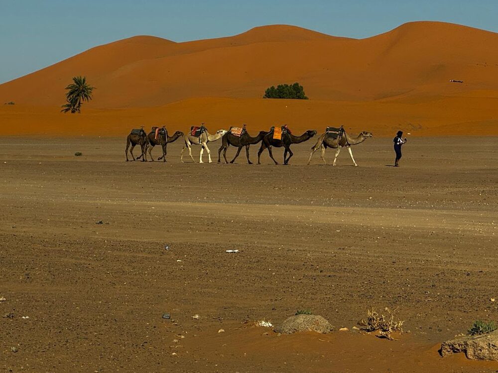 Caravana atravessando as dunas do deserto do Saara, no Marrocos